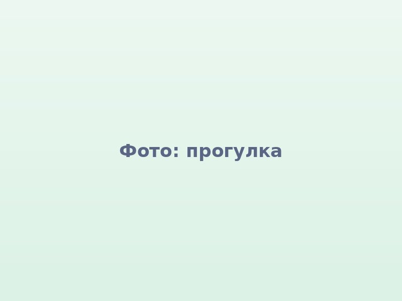 Прогулка